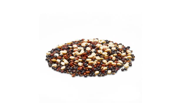 Yupik quinoa tricolor cucharada de textura esponjosa lista para servir