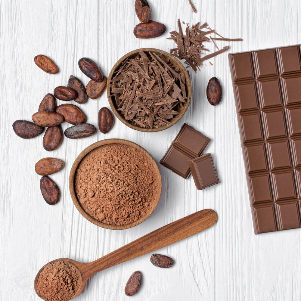 Yupik frijoles transformados en barras de chocolate artesanal listas para hornear
