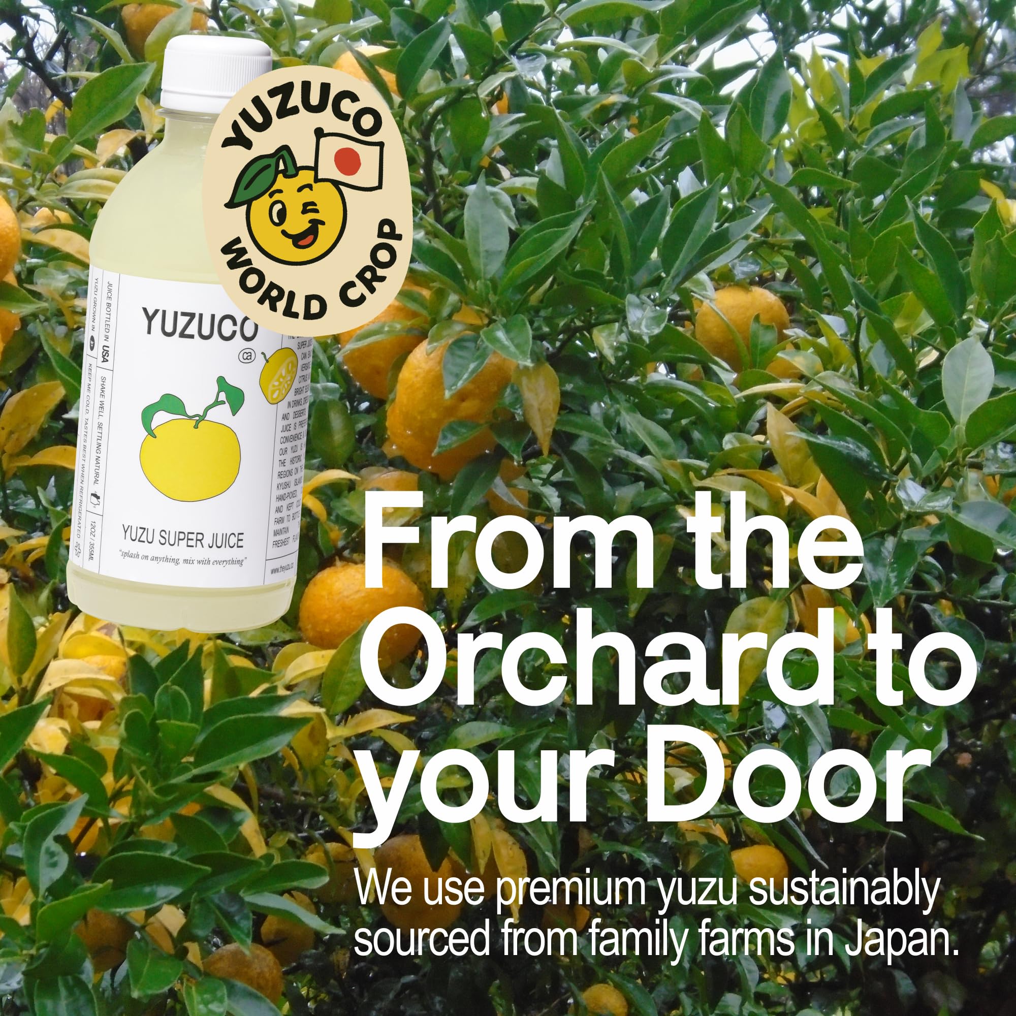 YUZUCO cítricos japoneses frescos junto a la botella, muestra origen sostenible