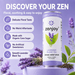 Zenjoy lata junto a mano para comparar tamaño y portabilidad